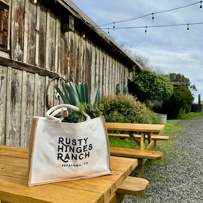 Real Meal Bundle Organic Farm Fresh Meals