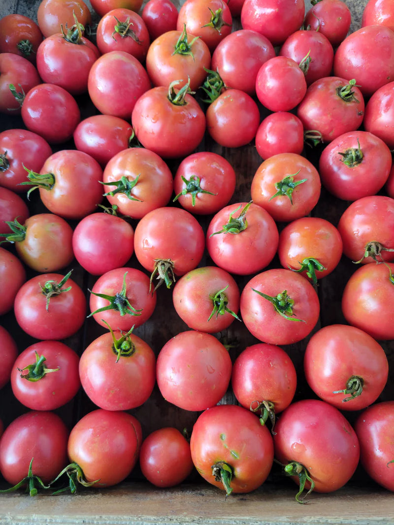 Pink Cherry Tomatoes, 1 pint