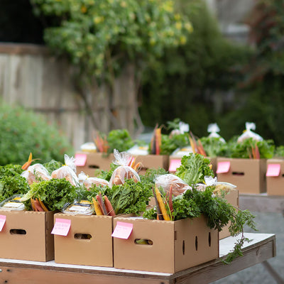 Real Meal Bundle Organic Farm Fresh Meals