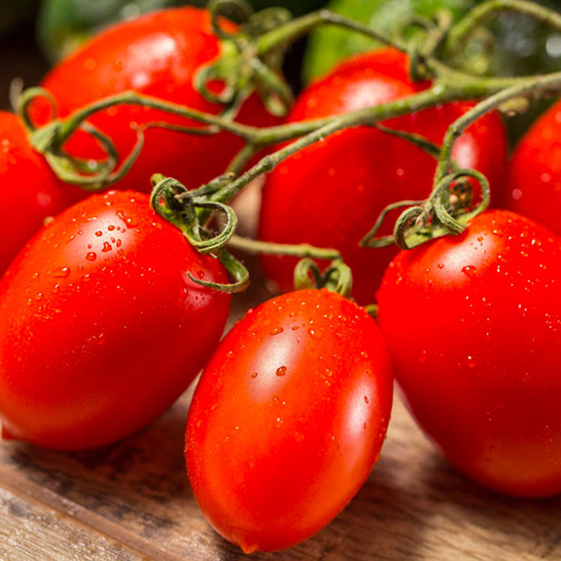 Roma Tomatoes, Organic