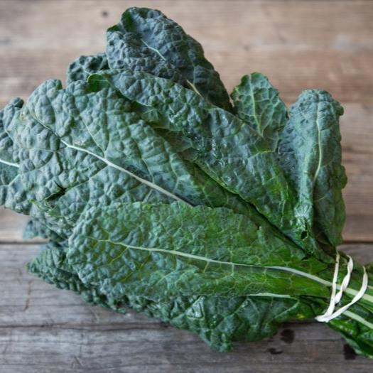 Lacinato (Dino) Kale Bunch