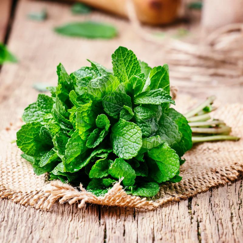 Mint Bunch