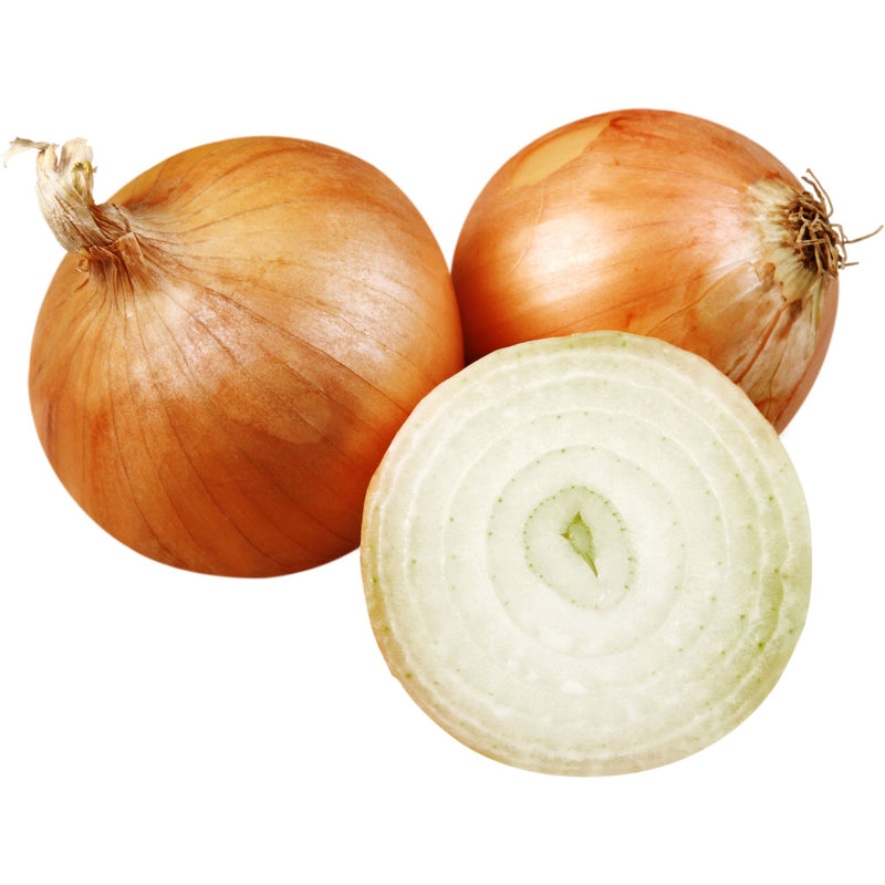 Yellow Onion, Organic
