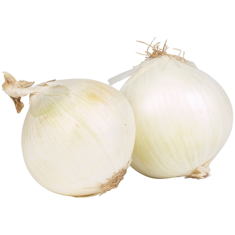 Jumbo White Onion