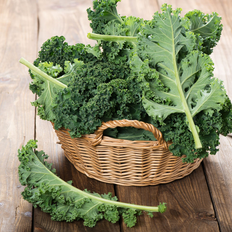 Kale, Organic