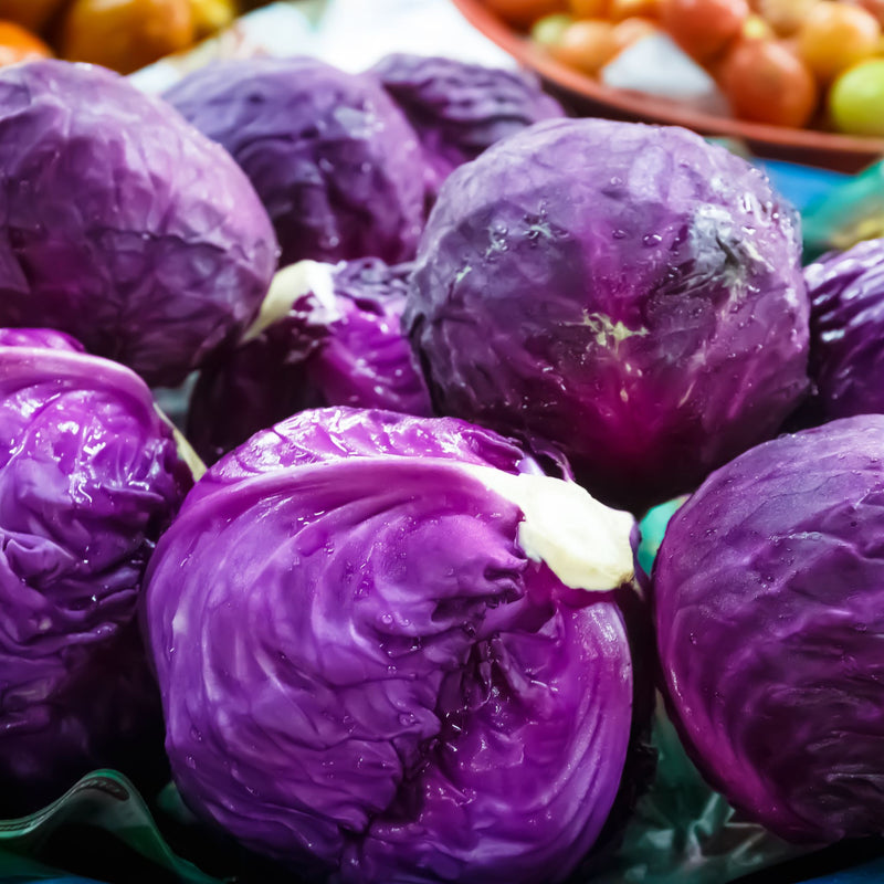 Red Cabbage, Organic
