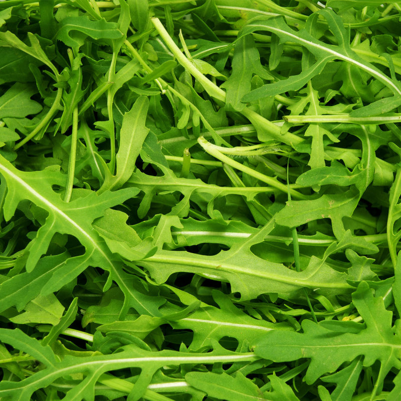 Arugula, Organic