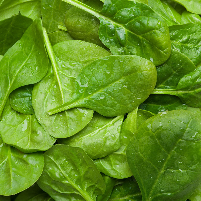 Baby Spinach, Organic