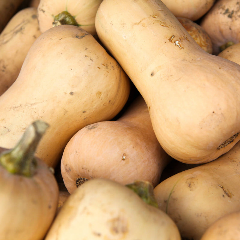 Butternut Squash, Organic