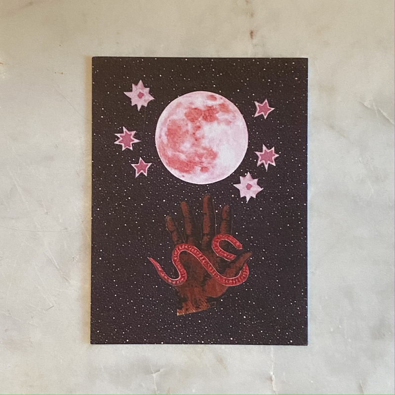 "Starry Serpent" Postcard