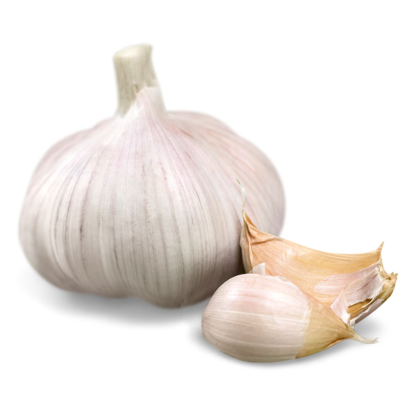 Garlic Bulb, Organic