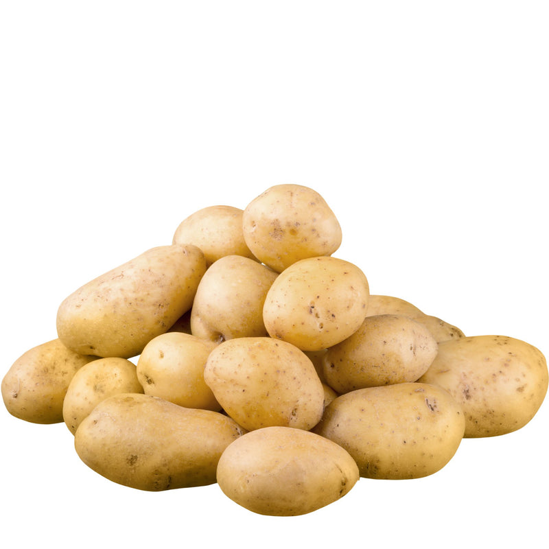 Gold Potatoes, Organic