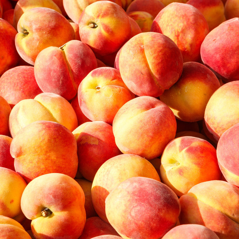 Peaches, Sierra Rich