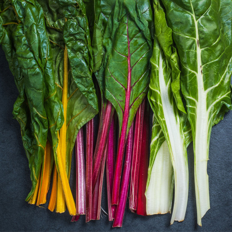 Rainbow Chard Bunch